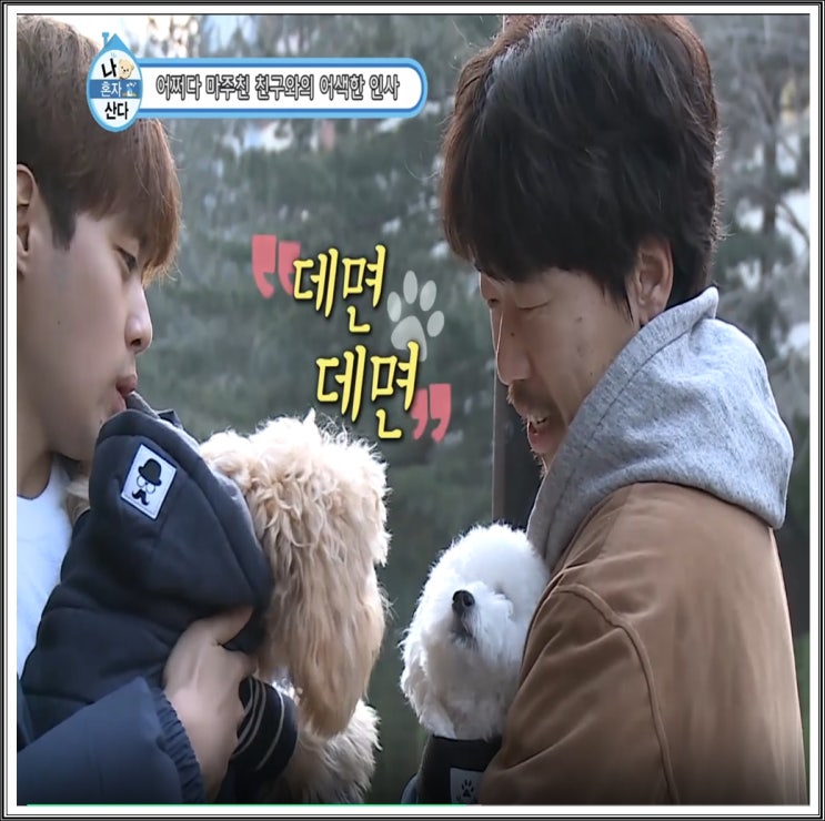  나혼자산다 조병규 강아지 조엘 관상