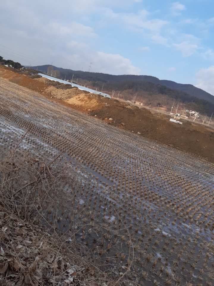  좋은 흙 준다더니... 2만평 농지에 대규모 건축폐기물 불법 매립