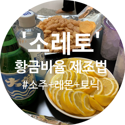  여행에 빠지면 섭섭한 맛있는 술 소주+레몬+토닉워터 '소레토' 레몬소주 황금비율 제조법!