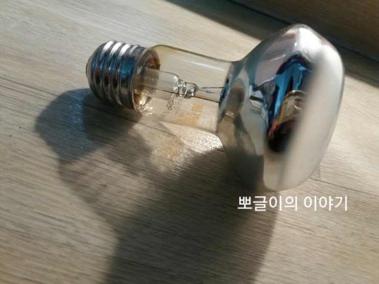  육지거북 스팟램프 6개월만에  교체했어요.