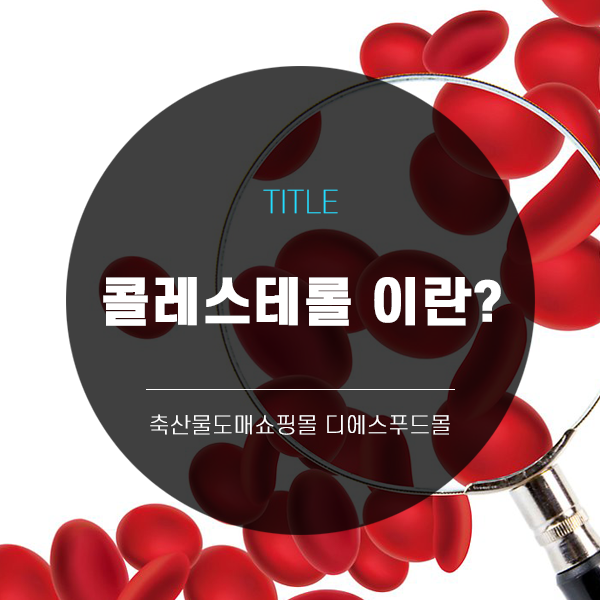  [디에스푸드몰의 고기정보]콜레스테롤이란?