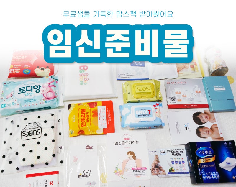 임신준비영양제계획 임신 전 준비물 및 할 일, 요령