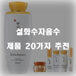  2020년 설화수자음수 상품들 추천 순위 확인 해보세요