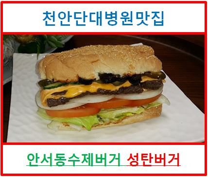  천안단대병원맛집 안서동수제버거 성탄버거 솔직리뷰