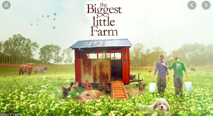 추천 다큐멘터리 &lt;The Biggest Little Farm&gt;