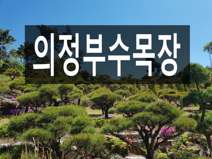  의정부수목장 자연환경과 접근성이 뛰어난 가까운곳~