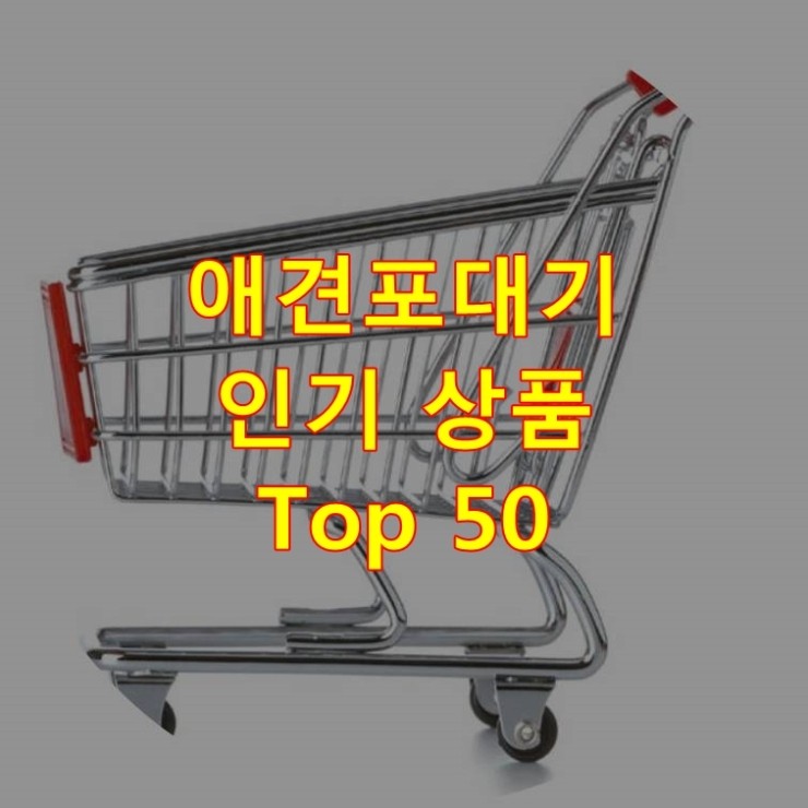 가장 잘 팔리는 애견포대기 추천 상품 Best 50