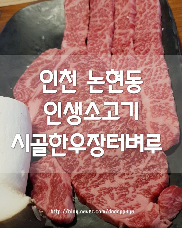 인천 논현동 소고기 맛집 시골한우장터벼루 인생 고기집