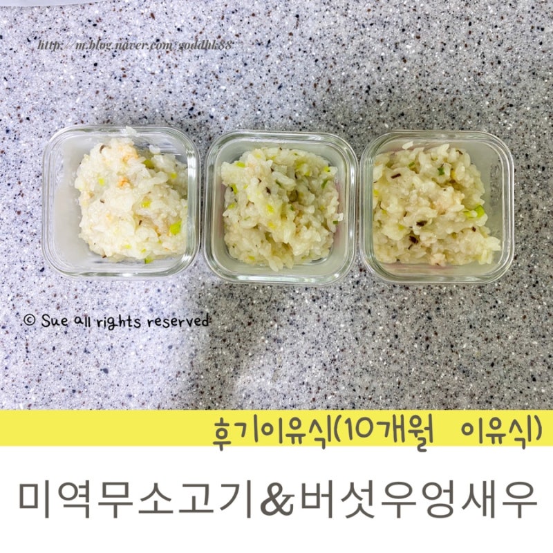 10개월 후기 이유식 일기 : 아기