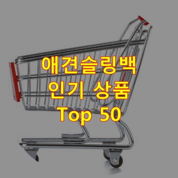  가장 잘 팔리는 애견슬링백 추천 상품 Best 50