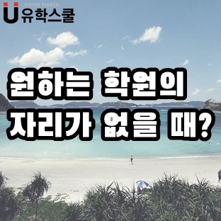  세부어학연수 원하는 학원 자리가 없다면 알림 신청하세요!