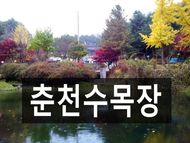  조용하고 매력적인 춘천수목장~^*^