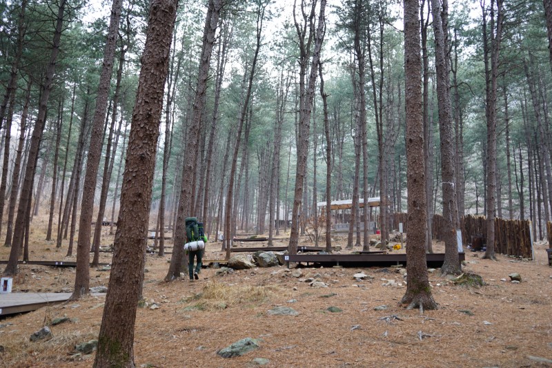 호명산 잣나무 숲 캠핑 장