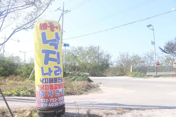  영종도 해물찜 잘하는 해돋이 낙지나라