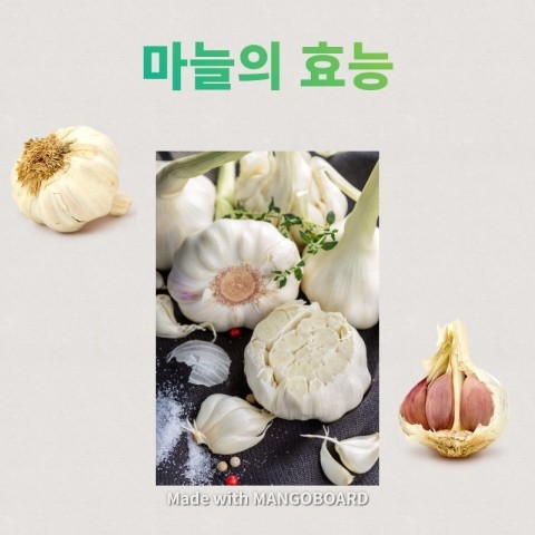  마늘에는 강력한 향균작용이 들어있다 (향균작용이란?)