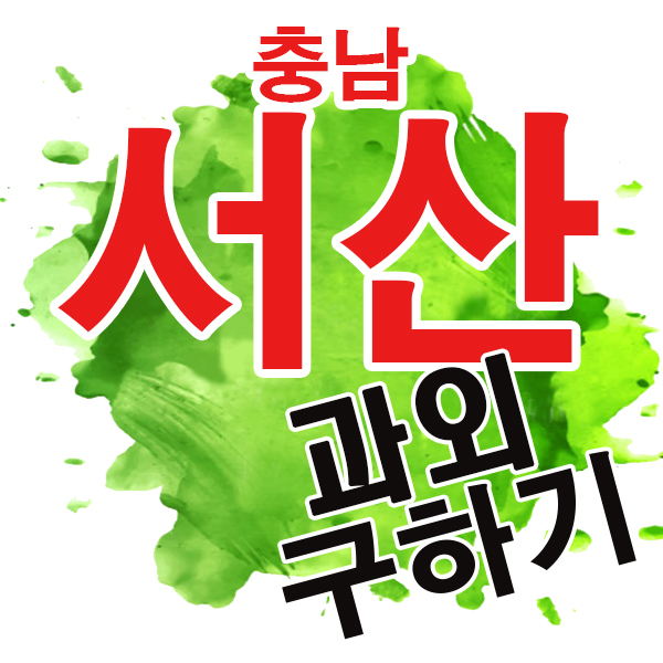 서산 영어과외 석립동 읍내동 예비고3 입시 준비 선생님 전문 개인 국어 수학과외 고르는 요령