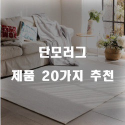  2020년 단모러그 물품들 순위 입니다 알뜰한 쇼핑 하세요~