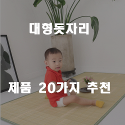  쿠팡에서 판매하는 대형돗자리 제품들 순위 리스트!