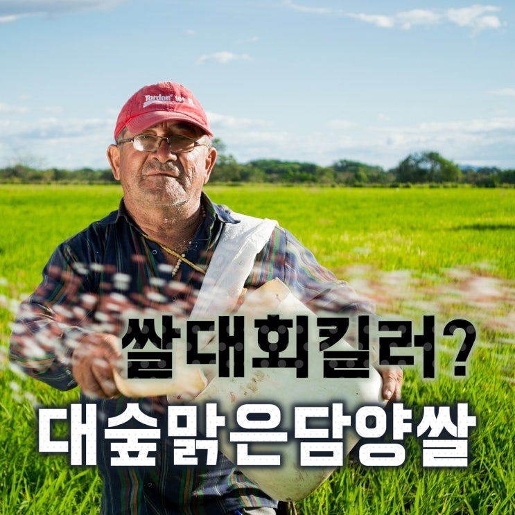  가격 저렴한 특등급 새일미 쌀 / 대숲맑은 담양쌀(10,20kg)