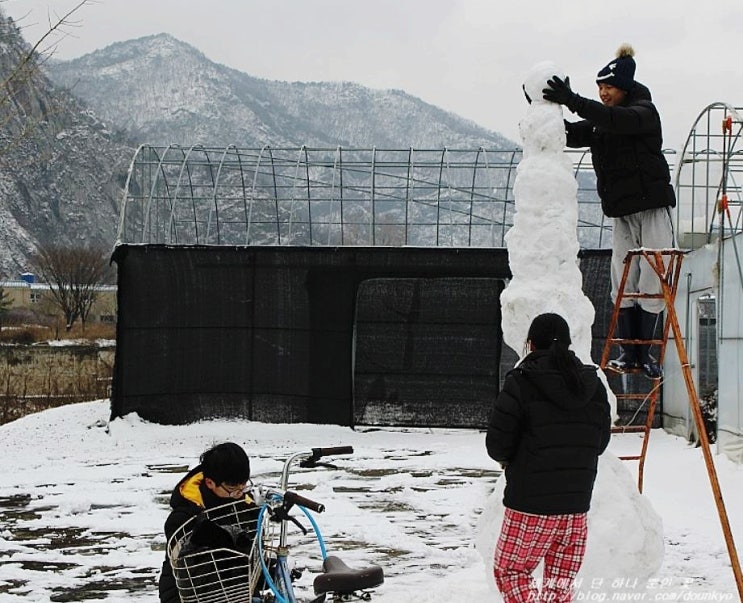  [4년 전 오늘] 눈놀이 / 눈탑쌓기 그리고 눈사람 만들기 ([4年前の今日] 雪遊び / 雪積みそして雪だるま作り)