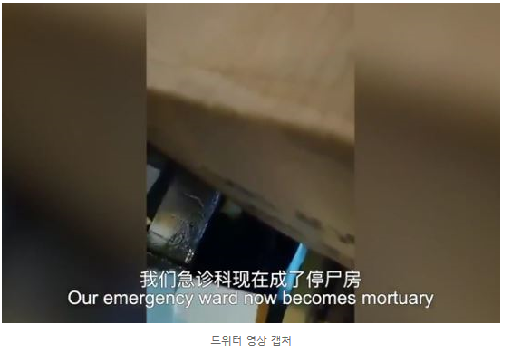 우한의 여의사 폭로영상 "응급실이 영안실 됐다"