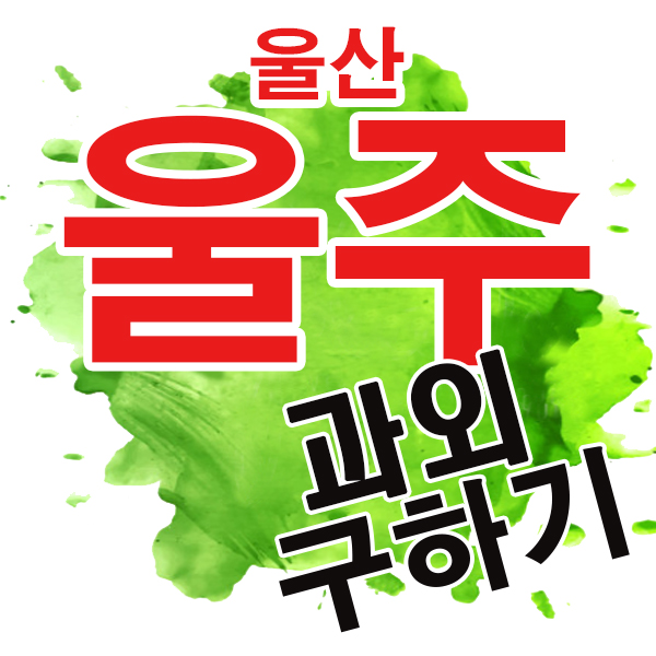  울산 영어과외 울주 범서읍 초등 선생님 학생 개인 전문 일대일 한글 수학 과학 국어과외 여기서!