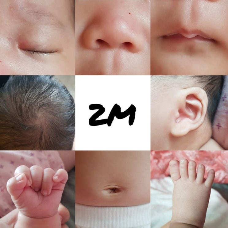육아일기 : 생후1개월부터 2개월까지 아기 일상