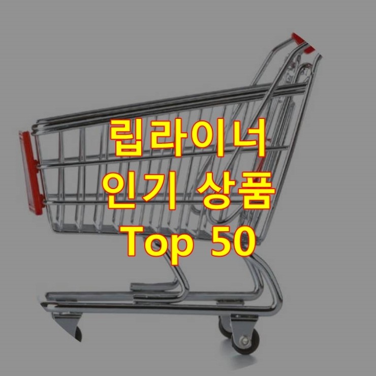  가장 잘 팔리는 립라이너 추천 상품 Best 50