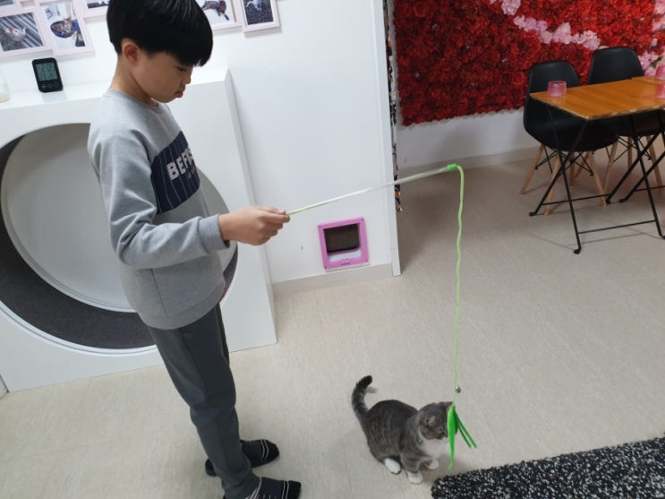  일산고양이카페 고냥이에서~