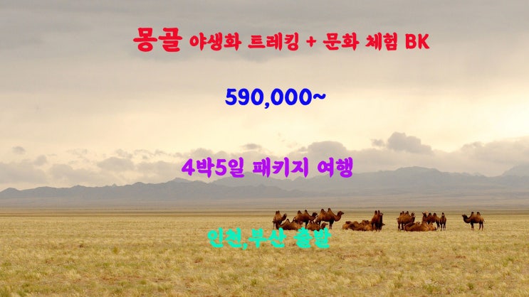 몽골 야생화 트레킹 + 문화 체험 BX 4박5일