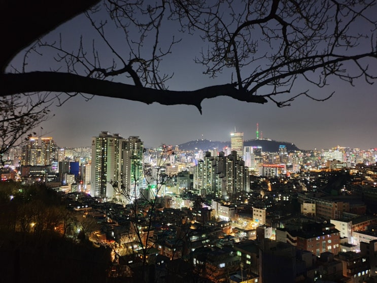  동묘앞역:) 산책하기 좋고 야경맛집은? "숭인근린공원"