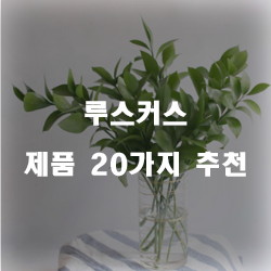  [상품정보] 루스커스 상품군1위~20위 리스트 확인해보세요~ 