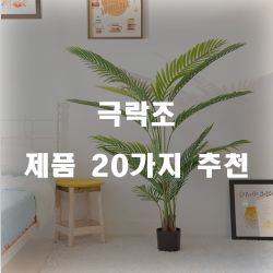  [베스트] 극락조 제품1위 부터 20위 입니다 실패없는 쇼핑 하세요 