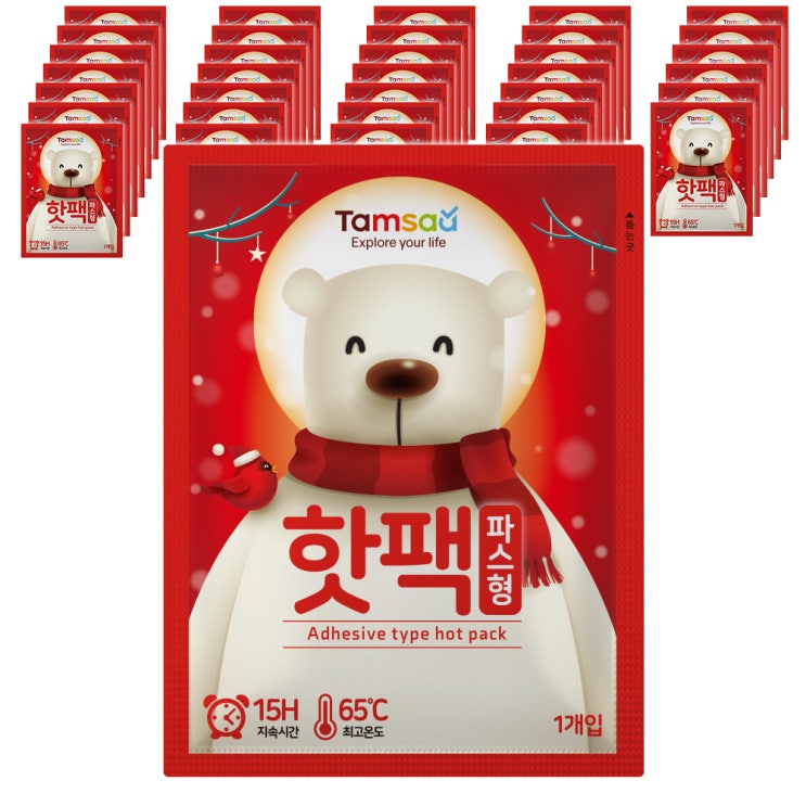  쿠팡 브랜드 - 탐사 국내산 파스형 핫팩 40g, 35개