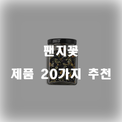  [제품정보] 팬지꽃 제품군20가지 추천순위 리스트 