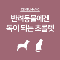  반려동물에겐 독이 되는 초콜렛