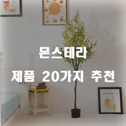  쿠팡에서 판매하는 몬스테라 상품군20종류 순위 확인 해보세요~ 