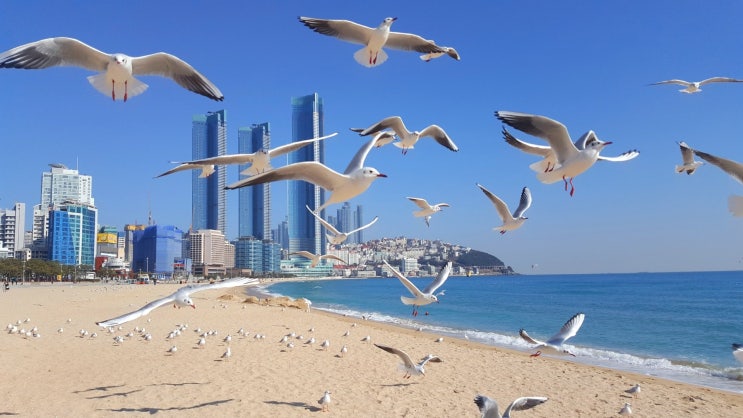  해운대해수욕장 위풍당당 엘시티