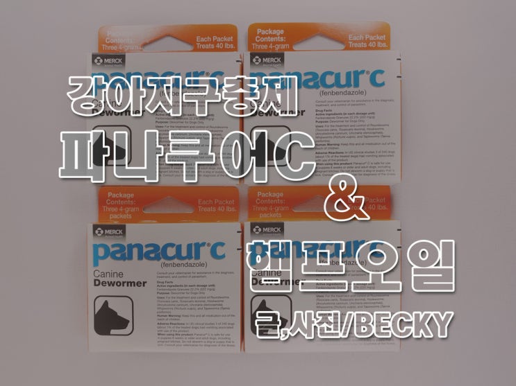  파나쿠어C 펜벤다졸 구충제 복용법과 CBD 헴프 오일