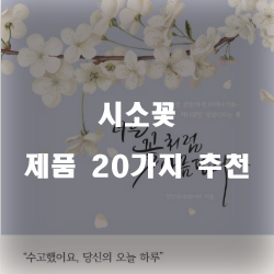 [베스트 순위] 시소꽃 상품 모음20가지 추천순위 확인 해보세요~ 
