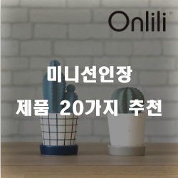  후회없는 미니선인장 물품1위 부터 20위 리스트 정보 입니다. 
