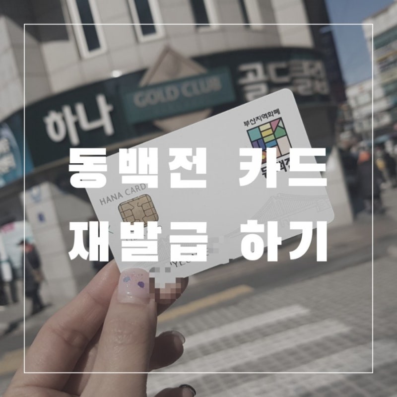 동백전 카드 재발급은 하나은행 지점으로 가면 당일발급 된다!