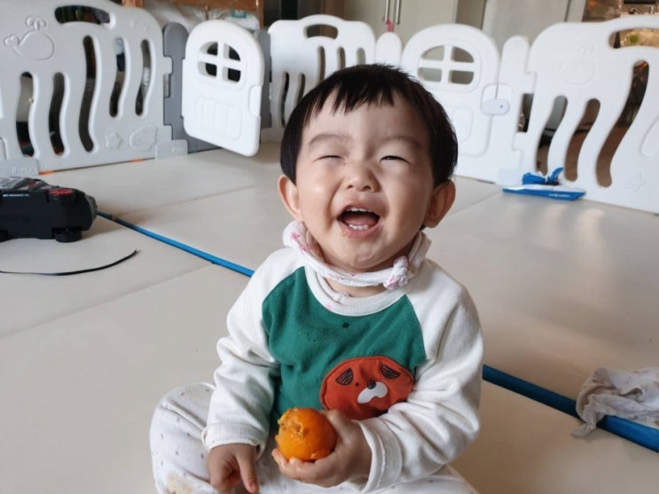 14개월 아기 귤 첫 영접