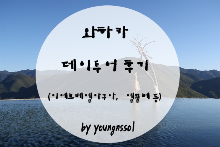  [세계여행 멕시코] 와하카 근교 일일 투어 가장 저렴하게 다녀온 후기!!(이에르베 엘 아구아, 엘뚤레, 미뜰라, 직물공장, 메즈칼공장)
