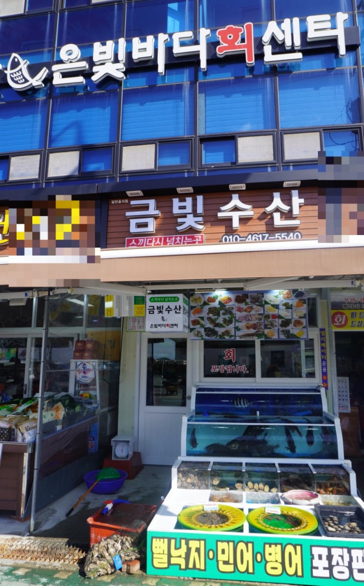  목포횟집추천 북항횟집 1등 '금빛수산' 케이블카 맛집