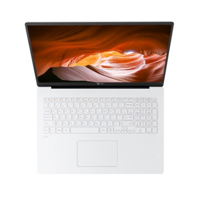  2020년 쿠팡 내일배송  LG전자 2020 그램 노트북 17ZD90N-VX50K [1,649,000원] 파는곳