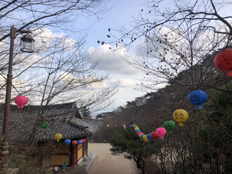  경주 석굴암 : 하늘 안에 내가 있다