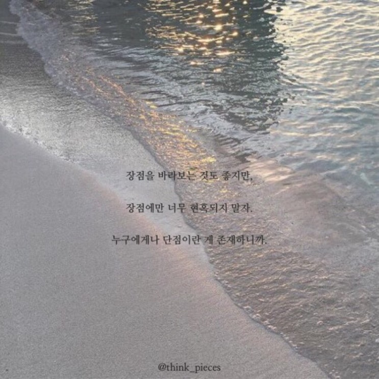  장단점