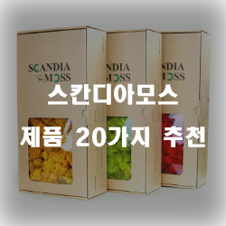  [상품랭킹] 스칸디아모스 제품 모음추천 보고가세요~ 