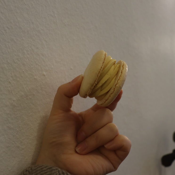  대구베이커리카페 "허밍 102 본점" 무색소마카롱맛집